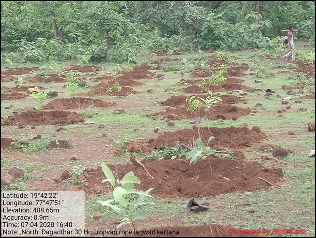 Compensatory Afforestation